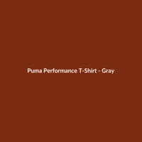Puma Performance T-Shirt - Gray - 2