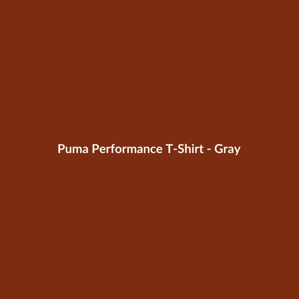 Puma Performance T-Shirt - Gray - 3