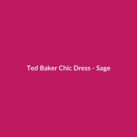 Ted Baker Chic Dress - Sage - 2