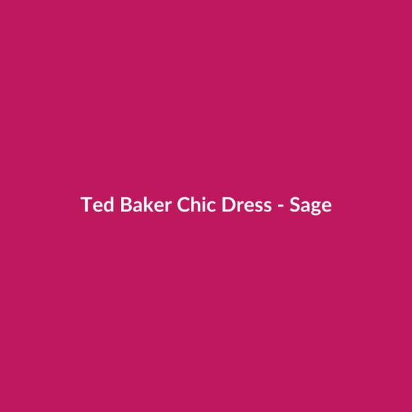 Ted Baker Chic Dress - Sage - 3